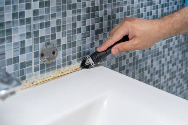 Best Black Mold Remediation in Wayzata, MN