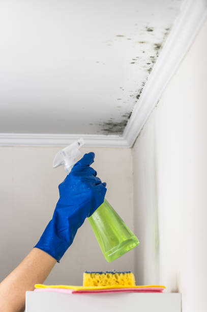 Wayzata, MN Mold Remediation Company
